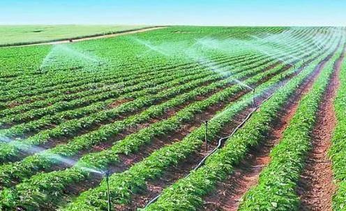 亚洲操逼视频大全农田高 效节水灌溉